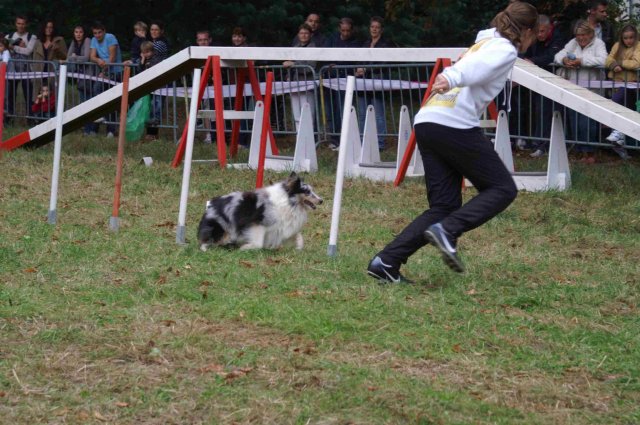 foire-haricots 2011-09-17et18